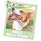 Show in main carousel: Nature Gnaws 5 to 6-in Bully Sticks Dog Chew Treats, Small, 5 count slide 7 of 10