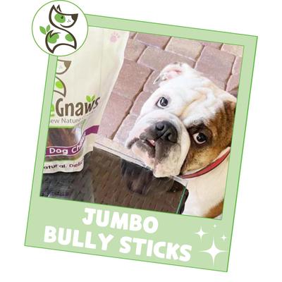 Show full view: Nature Gnaws 5 to 6-in Bully Sticks Dog Chew Treats, X-Large, 6 count slide 7 of 10