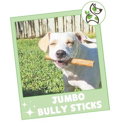 Show full view: Nature Gnaws 5 to 6-in Bully Sticks Dog Chew Treats, X-Large, 6 count slide 8 of 10
