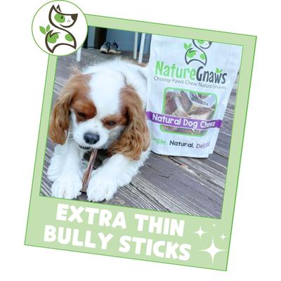 Show full view: Nature Gnaws 5 to 6-in Extra Thin Bully Sticks Dog Chew Treats, 10 count slide 7 of 10