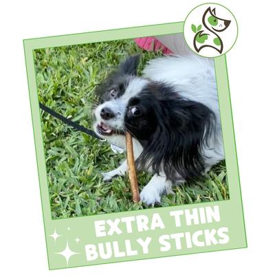 Show full view: Nature Gnaws 5 to 6-in Extra Thin Bully Sticks Dog Chew Treats, 50 count slide 8 of 10