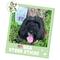 Show in main carousel: Nature Gnaws 5 to 7-in USA Steer Sticks Natural Dog Chew Treats, 8-oz bag slide 7 of 7
