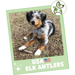 Nature Gnaws 5 to 8-in USA Elk Antler Natural Dog Chew Treats, 3 count