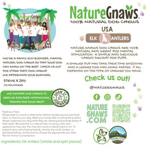 Nature Gnaws 5 to 8-in USA Elk Antler Natural Dog Chew Treats, 3 count