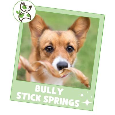 Show full view: Nature Gnaws 7 to 8-in Spring Bully Sticks Dog Chew Treats, 12 count slide 7 of 10