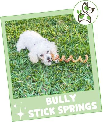 Show full view: Nature Gnaws 7 to 8-in Spring Bully Sticks Dog Chew Treats, 12 count slide 8 of 10