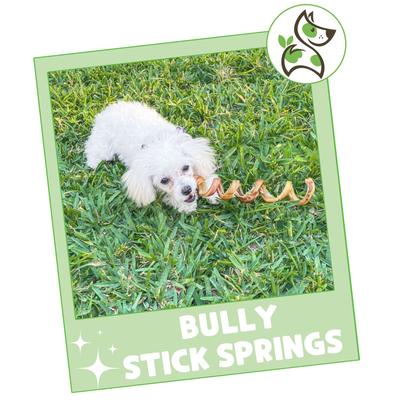 Show full view: Nature Gnaws 7 to 8-in Spring Bully Sticks Dog Chew Treats, 6 count slide 8 of 10