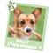 Show in main carousel: Nature Gnaws 7 to 8-in Spring Bully Sticks Dog Chew Treats, 6 count slide 7 of 10