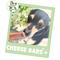 Show in main carousel: Nature Gnaws Cheese & Bacon Bar Bones Dog Chew Treats, 4 count slide 6 of 8