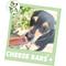 Show in main carousel: Nature Gnaws Cheese & Chicken Bars Bones Dog Chew Treats, 4 count slide 7 of 8
