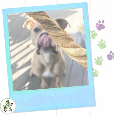 Show full view: Nature Gnaws Premium Beef Dog Chew Variety Pack, 18 count slide 6 of 8