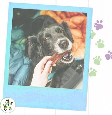 Show full view: Nature Gnaws Premium Beef Dog Chew Variety Pack, 18 count slide 7 of 8