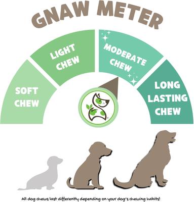 Show full view: Nature Gnaws USA Beef Tendon Natural Dog Chew Treats, 8-oz bag slide 4 of 8