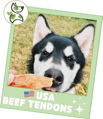 Show full view: Nature Gnaws USA Beef Tendon Natural Dog Chew Treats, 8-oz bag slide 7 of 8