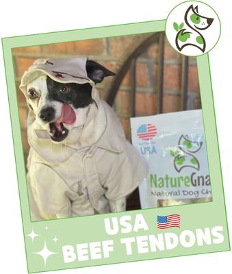 Show full view: Nature Gnaws USA Beef Tendon Natural Dog Chew Treats, 8-oz bag slide 8 of 8