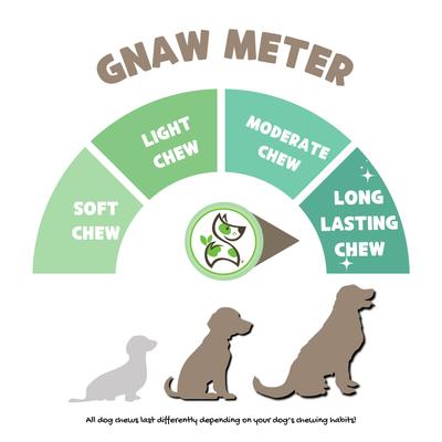 Show full view: Nature Gnaws USA Pig Ears Natural Dog Chew Treats, 10 count slide 4 of 9