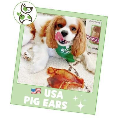 Show full view: Nature Gnaws USA Pig Ears Natural Dog Chew Treats, 10 count slide 7 of 9