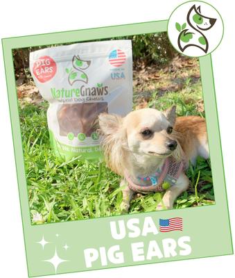 Show full view: Nature Gnaws USA Pig Ears Natural Dog Chew Treats, 10 count slide 8 of 9