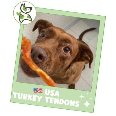 Show full view: Nature Gnaws USA Turkey Tendon Natural Dog Chew Treats, 8-oz bag slide 7 of 10