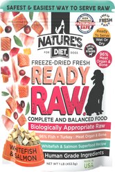 Nature's Diet Adult Ready Raw Salmon & Whitefish Flavored Freeze-Dried Dog Food, 1-lb bag