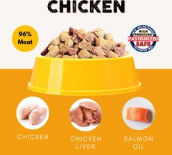 Nature's Diet Ready Raw Chicken Flavored Freeze-Dried Cat Food, 1-lb bag slide 2 of 7