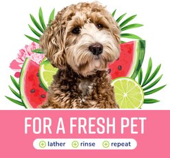 Naturel Promise Fresh & Soothing Deep Cleaning Dog & Cat Shampoo, Sweet Summer Scent, 22-fl oz bottle slide 2 of 8