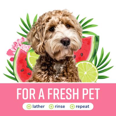 Show full view: Naturel Promise Fresh & Soothing Deep Cleaning Dog & Cat Shampoo, Sweet Summer Scent, 22-fl oz bottle slide 6 of 9