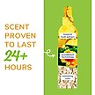Show in main carousel: Naturel Promise Fresh & Soothing Dog & Cat Deodorizing Spray, Tropical Breeze Scent, 8-fl oz bottle slide 6 of 9