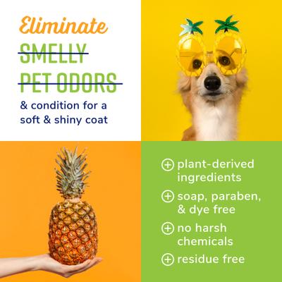 Show full view: Naturel Promise Fresh & Soothing Dog & Cat Deodorizing Spray, Tropical Breeze Scent, 8-fl oz bottle slide 5 of 9