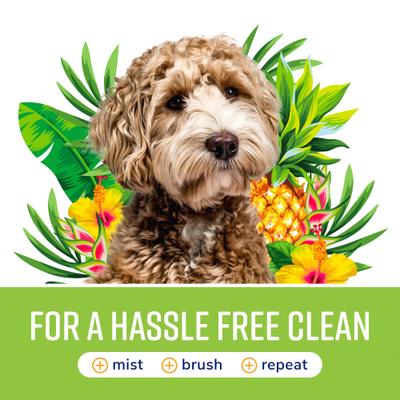 Show full view: Naturel Promise Fresh & Soothing Dog & Cat Deodorizing Spray, Tropical Breeze Scent, 8-fl oz bottle slide 7 of 9