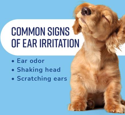 Show full view: Naturel Promise Fresh & Soothing Dog Ear Cleaner, 4-fl oz bottle slide 5 of 7