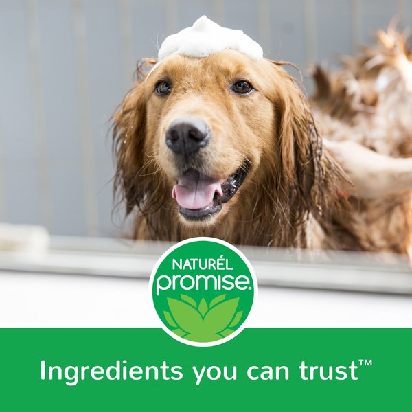 Show full view: Naturel Promise Fresh & Soothing Natural Waterless Foaming Dog Shampoo, 11-fl oz bottle slide 3 of 8