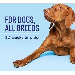 Naturel Promise Fresh & Soothing Oatmeal Itch Relief Dog Shampoo, 22-fl oz bottle