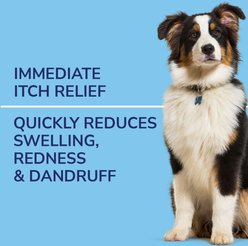 Naturel Promise Fresh & Soothing Oatmeal Itch Relief Medicated Dog Spray, 8-fl oz bottle slide 2 of 7