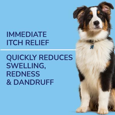 Show full view: Naturel Promise Fresh & Soothing Oatmeal Itch Relief Medicated Dog Spray, 8-fl oz bottle slide 3 of 7