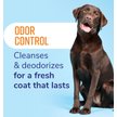 Show in main carousel: Naturel Promise Fresh & Soothing Odor Control Refreshing Dog Shampoo, 22-fl oz bottle slide 3 of 8