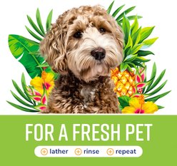 Naturel Promise Fresh & Soothing Odor Defense Dog & Cat Shampoo, Tropical Breeze Scent, 22-fl oz bottle slide 2 of 8