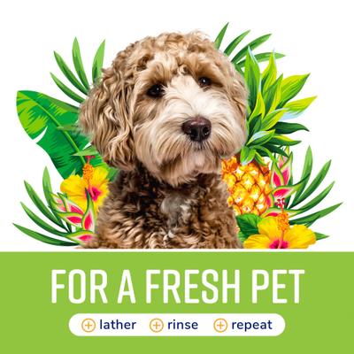 Show full view: Naturel Promise Fresh & Soothing Odor Defense Dog & Cat Shampoo, Tropical Breeze Scent, 22-fl oz bottle slide 7 of 9