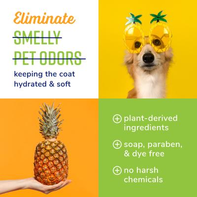 Show full view: Naturel Promise Fresh & Soothing Odor Defense Dog & Cat Shampoo, Tropical Breeze Scent, 22-fl oz bottle slide 5 of 9