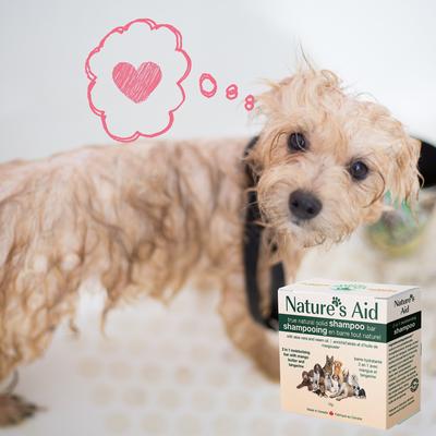 Show full view: Nature's Aid True Natural Solid 2 in 1 Mango Butter & Tangerine Dog Shampoo Bar slide 4 of 6