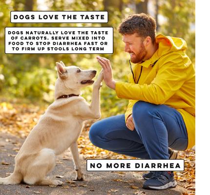 Show full view: Nature's Diet Digestive Carrots Powder Digestive Aid Supplement for Dogs & Cats, 16-oz jar slide 6 of 8