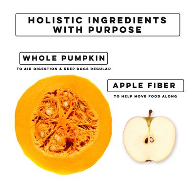 Show full view: Nature's Diet Digestive Pumpkin Powder Digestive Aid Supplement for Dogs & Cats, 16-oz jar slide 5 of 9