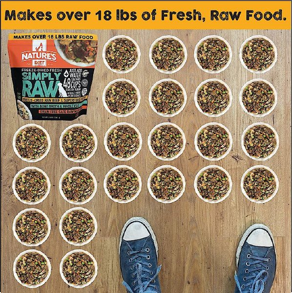 Nature's Diet Fresh Beef Simply Raw Freeze-Dried Dog Food, 3-lb bag