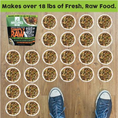 Show full view: Nature's Diet Fresh Chicken Simply Raw Freeze-Dried Dog Food, 3-lb bag slide 7 of 12