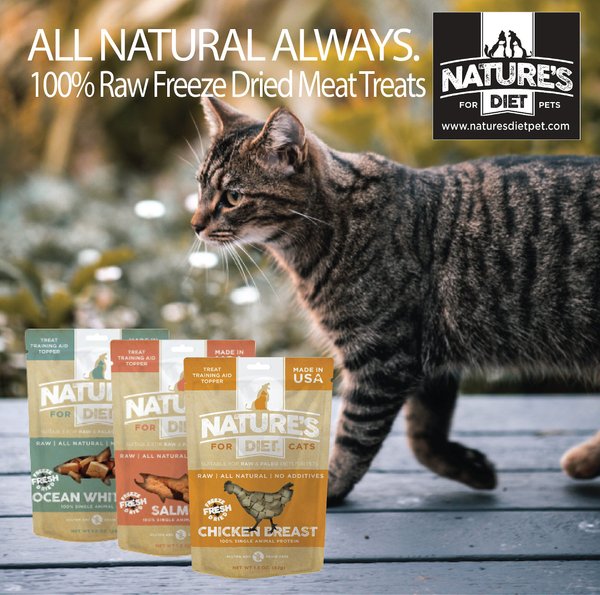 Nature's Diet Salmon Raw Freeze-Dried Cat Treats, 1-oz pouch