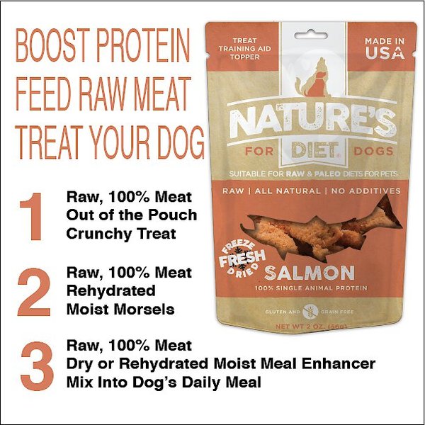 Nature's Diet Salmon Raw Freeze-Dried Dog Treats, 2-oz pouch
