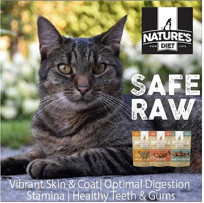 Show full view: Nature's Diet Whitefish Raw Freeze-Dried Cat Treats, 1-oz pouch slide 6 of 9