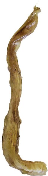 Nature's Logic 100% Natural Beef Tendon Dog Chew Treats