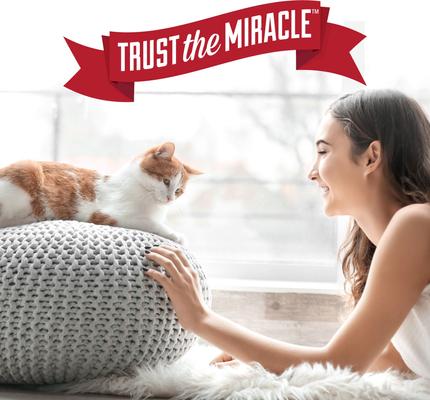 Show full view: Nature's Miracle Advanced Cat Stain & Odor Eliminator, 128-fl oz bottle, Sunny Lemon Scent slide 9 of 11