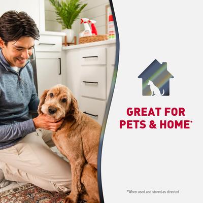 Show full view: Nature's Miracle Advanced Dog Stain & Odor Foam Aerosol Spray, 17.5-fl oz bottle slide 8 of 11